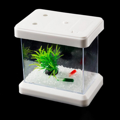 Mini värviline värvimuutev eemaldatav lauaarvuti haljastuskast kalakilpkonnadele roomajatele