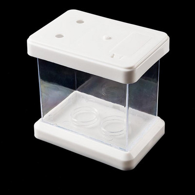 Mini värviline värvimuutev eemaldatav lauaarvuti haljastuskast kalakilpkonnadele roomajatele