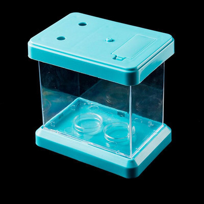 Mini värviline värvimuutev eemaldatav lauaarvuti haljastuskast kalakilpkonnadele roomajatele