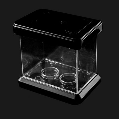 Mini värviline värvimuutev eemaldatav lauaarvuti haljastuskast kalakilpkonnadele roomajatele