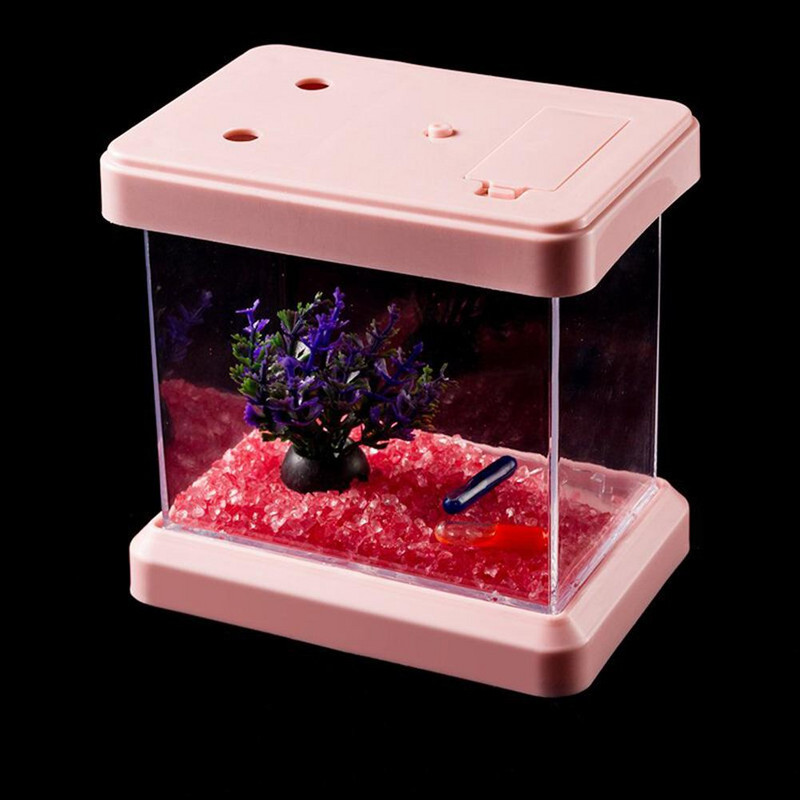 Mini värviline värvimuutev eemaldatav lauaarvuti haljastuskast kalakilpkonnadele roomajatele