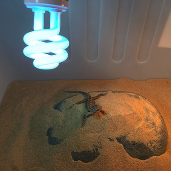 Ултравиолетова крушка E27 50 100 UVB 13W Домашни любимци Влечуги Светеща лампа Дневна светлина Крушка за костенурка риба земноводни Ориентир