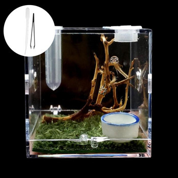 Паяк Кутия за хранене на влечуги Насекоми Кутия за отглеждане на влечуги Аксесоари за терариум Кутия за насекоми за паяк Щурец Охлюв Тарантула