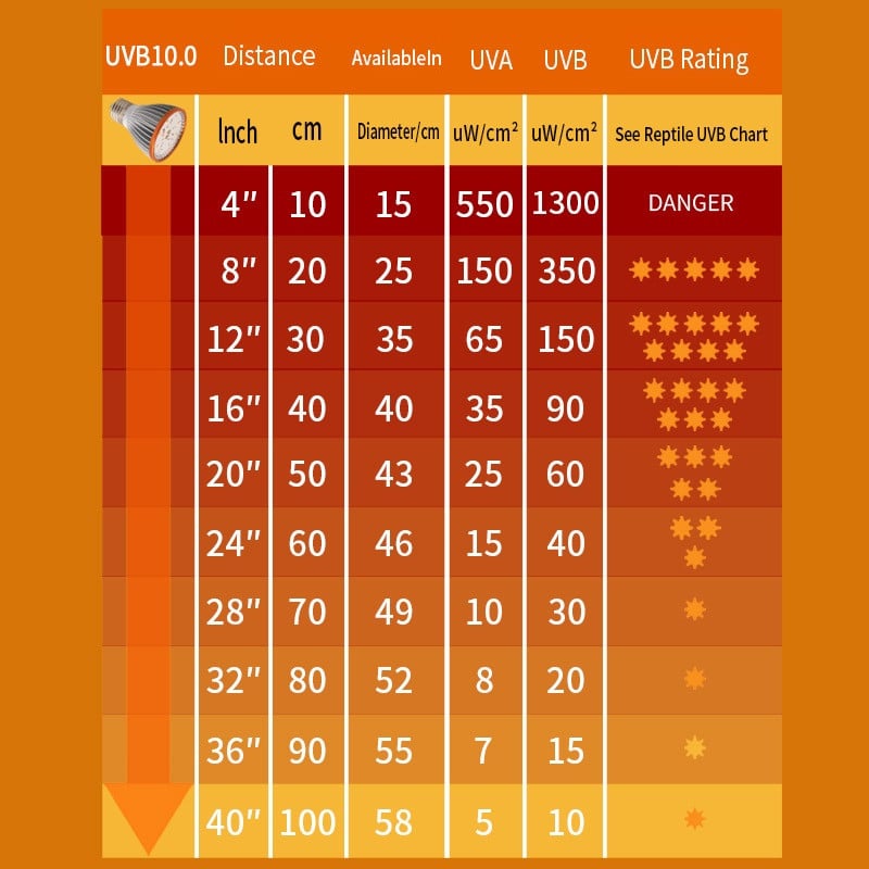 UVA UVB Reptile Light Bulb Full Specstrum LED UV Lamp for Turtle Lizard Snake 5.0 10.0 Compact Desert Terrarium Lamp