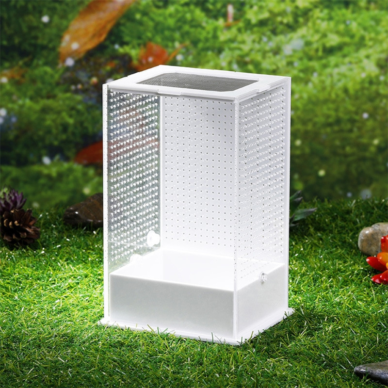 Cutie de hrănire pentru reptile Carcasă de reproducție Terariu portabil din plastic Habitat transparent pentru insecte pentru mini șopârlă Centipede 2 dimensiuni