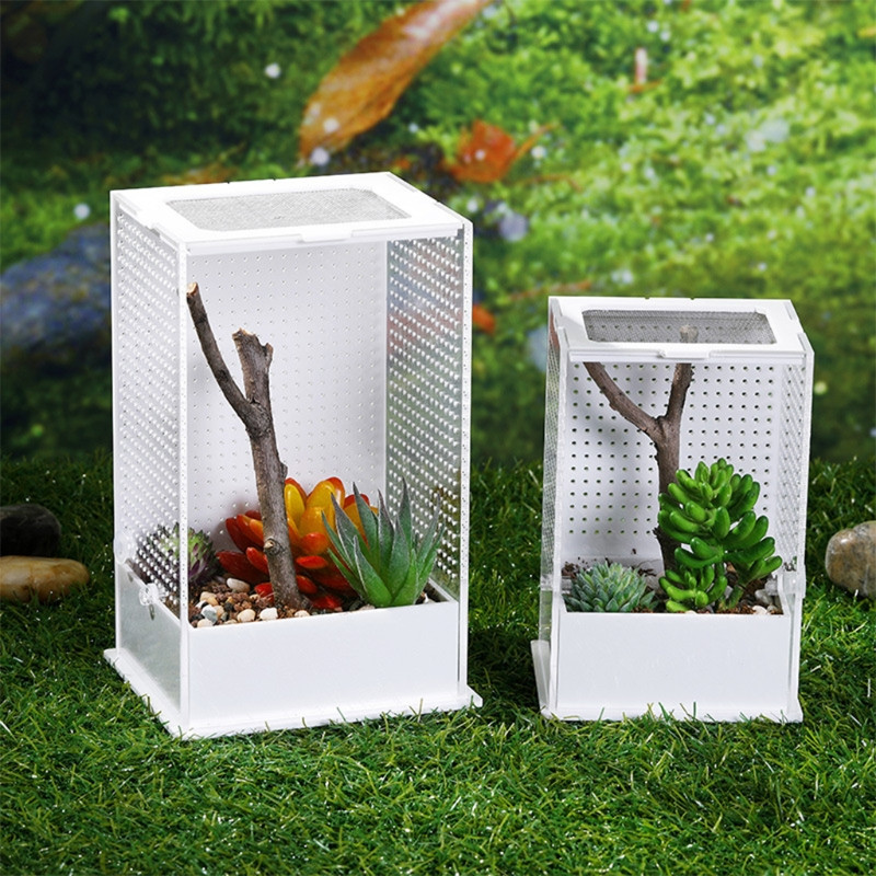 Cutie de hrănire pentru reptile Carcasă de reproducție Terariu portabil din plastic Habitat transparent pentru insecte pentru mini șopârlă Centipede 2 dimensiuni