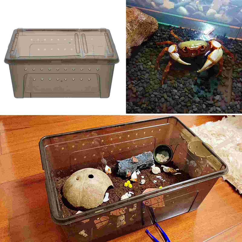 Box Reptile Breeding Terrarium Tank Pet Feeding Cage Lizard Feederturtle Animal Snake House Spider Case Containerinect Grimp