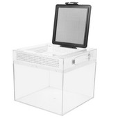 Cutie Tarantula Habitat Cușcă Păianjen Incinta Ermit Containerbol Cricket Crab Căsuță Căsuță Creștere Melc Rezervor Broasca Gecko Șarpe