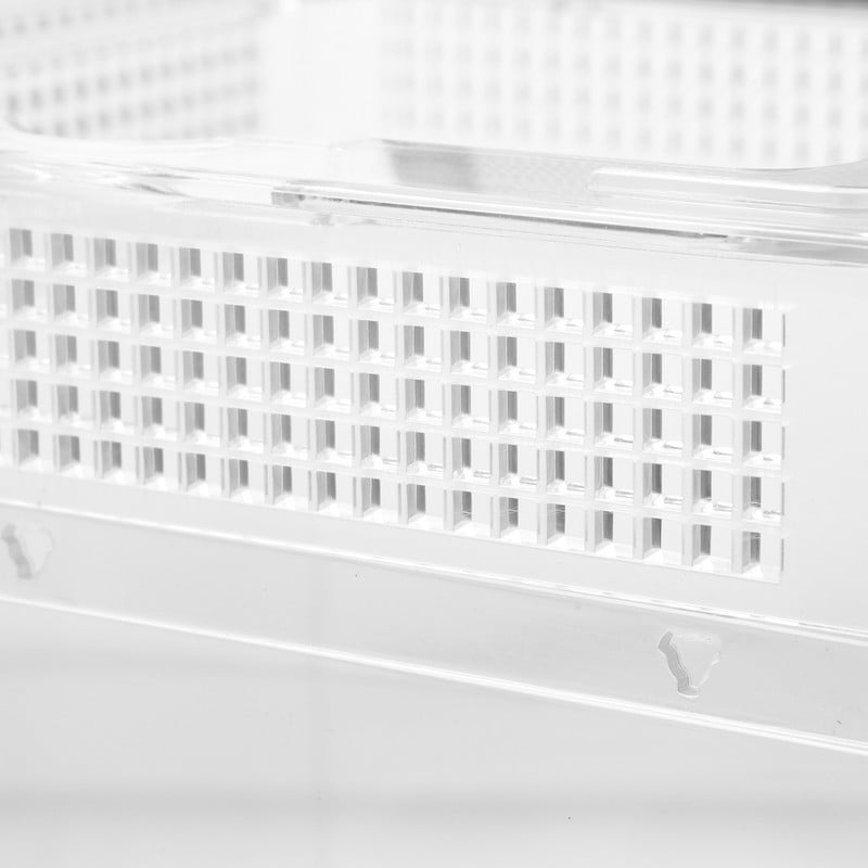 Cutie Tarantula Habitat Cușcă Păianjen Incinta Ermit Containerbol Cricket Crab Căsuță Căsuță Creștere Melc Rezervor Broasca Gecko Șarpe