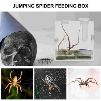 Spider Box Reptile Cage Terrarium Habitat Acrylic Bug Snail Feeding House Breeding Carrier Tank Container Jumping Keeper