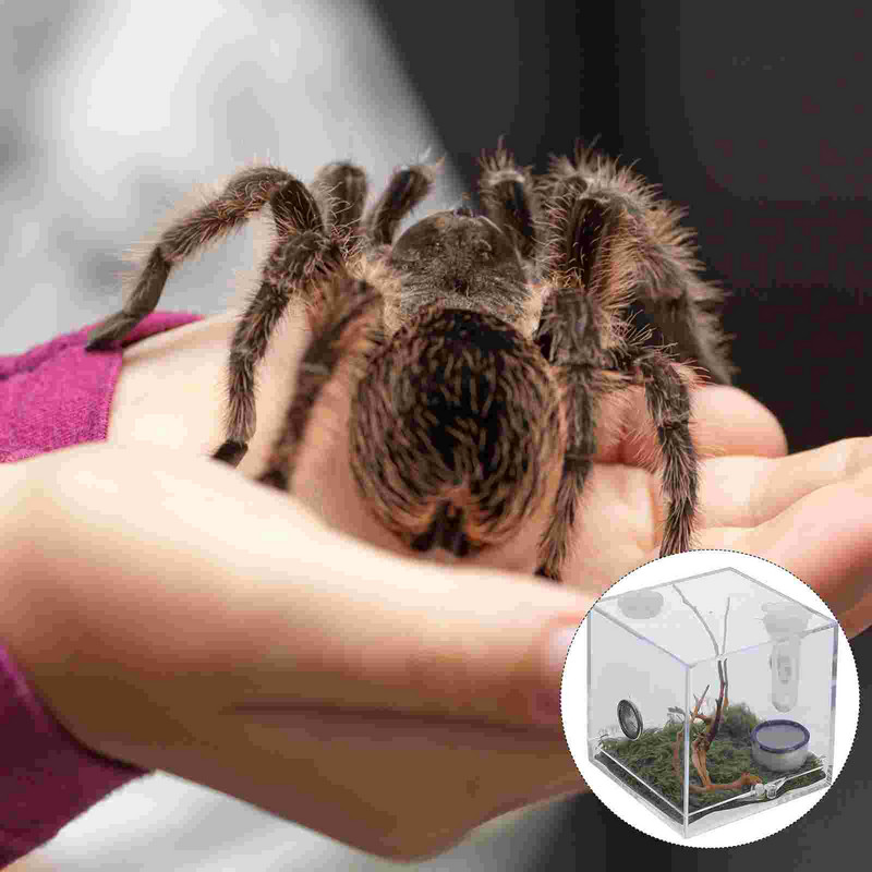 Cutie de păianjen Cușcă pentru reptile Terariu Habitat Acrilic Bug Hrănire melci Casă de reproducere Purtător Critter Tank Container Jumping Keeper