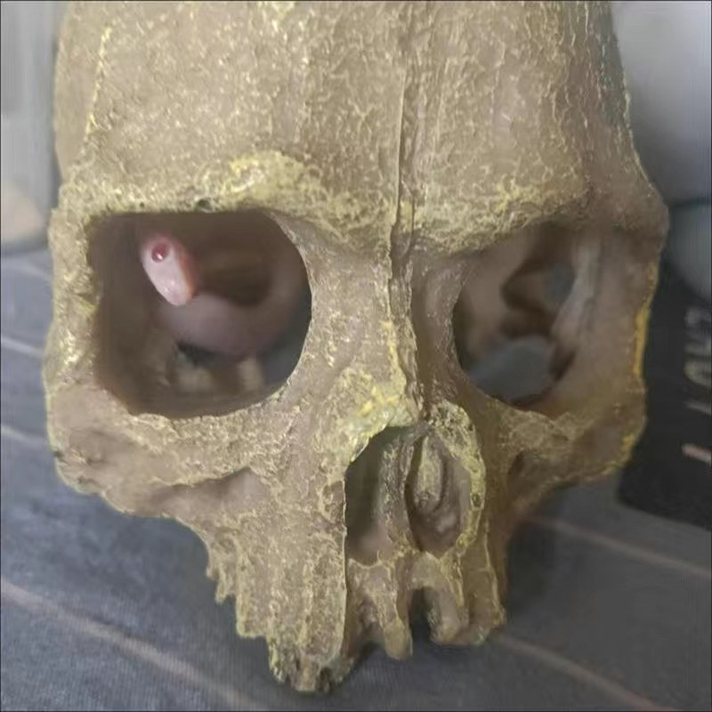 Akvariumo roplių dėžutė žuvų bako kraštovaizdžio kaukolės papuošalai Skorpionas Gekonas Voras Driežas Gyvatė Krevetės Roplių slėptuvės