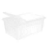 Terraariumi roomaja tarantula ämblik hüppab läbipaistva kasti terraariumipaagiga akrüülist mao puuri toitmine elupaiga maja peidukoht