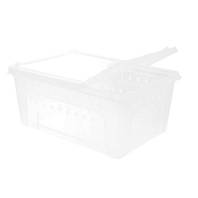 Terraariumi roomaja tarantula ämblik hüppab läbipaistva kasti terraariumipaagiga akrüülist mao puuri toitmine elupaiga maja peidukoht