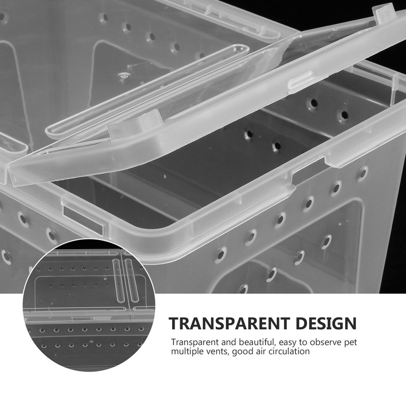 Terraariumi roomaja tarantula ämblik hüppab läbipaistva kasti terraariumipaagiga akrüülist mao puuri toitmine elupaiga maja peidukoht