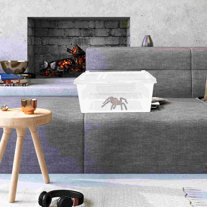 Terraariumi roomaja tarantula ämblik hüppab läbipaistva kasti terraariumipaagiga akrüülist mao puuri toitmine elupaiga maja peidukoht
