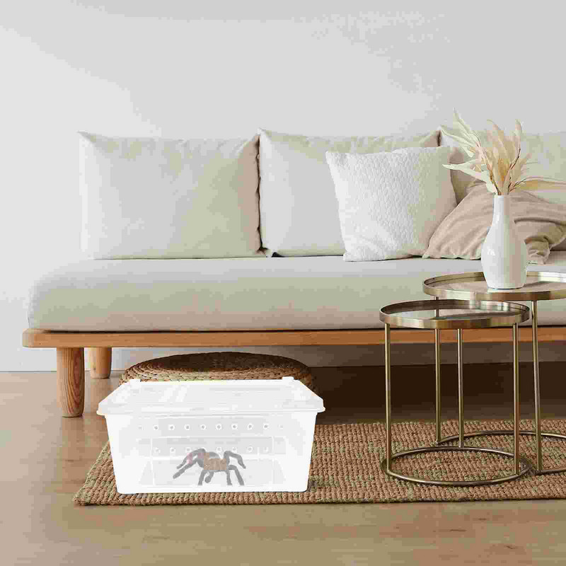 Terraariumi roomaja tarantula ämblik hüppab läbipaistva kasti terraariumipaagiga akrüülist mao puuri toitmine elupaiga maja peidukoht