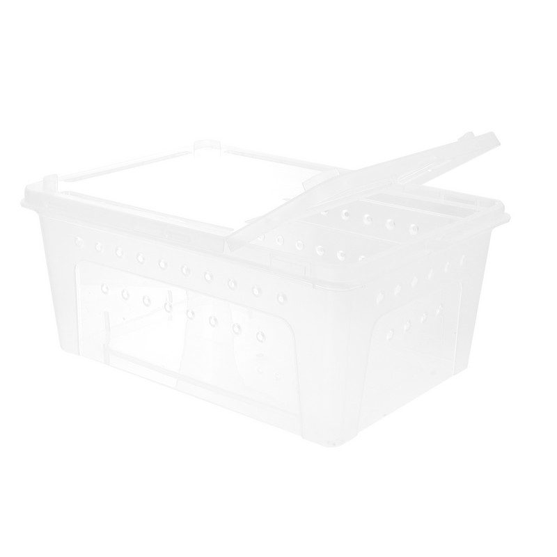 Terraariumi roomaja tarantula ämblik hüppab läbipaistva kasti terraariumipaagiga akrüülist mao puuri toitmine elupaiga maja peidukoht