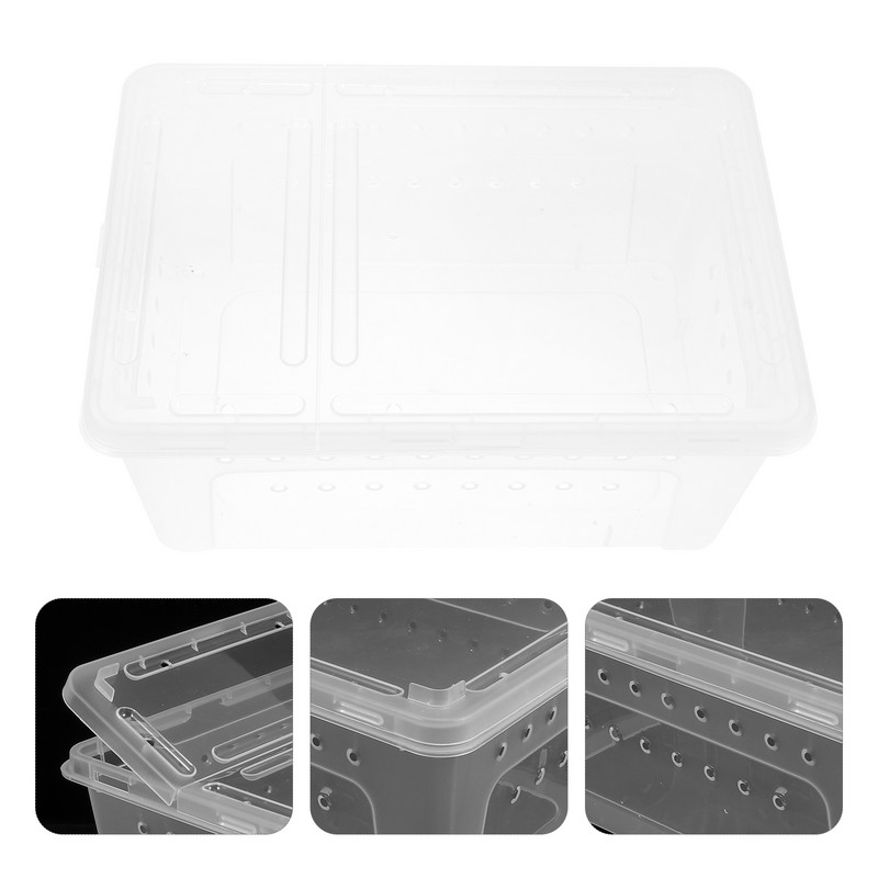 Terraariumi roomaja tarantula ämblik hüppab läbipaistva kasti terraariumipaagiga akrüülist mao puuri toitmine elupaiga maja peidukoht