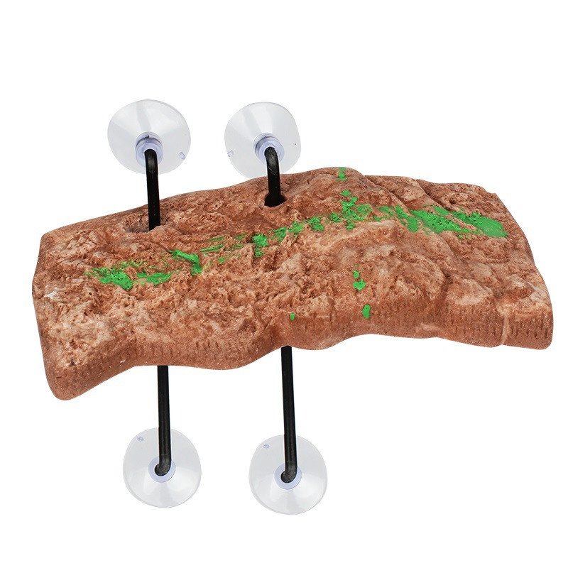 Bruņurupuču peldēšanas platforma Peldošā bruņurupuču piestātne Taisnstūrveida bruņurupuču piestātnes akvārija dekorēšana Brazīlijas bruņurupuča kāpšanas salā