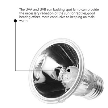 25W/50W/75W Φωτιστικό οπίσθιου φωτός ερπετού UVA UVB Θερμαντικό λαμπτήρα υπεριώδους πλήρους φάσματος