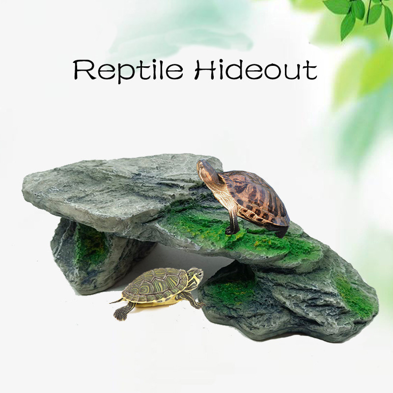 Bruņurupucis Bruņurupucis Rāpulis Ķirzaka Čūska Paslēptuve Ala Slēpta Māja Telpas sveķu terārija dekors