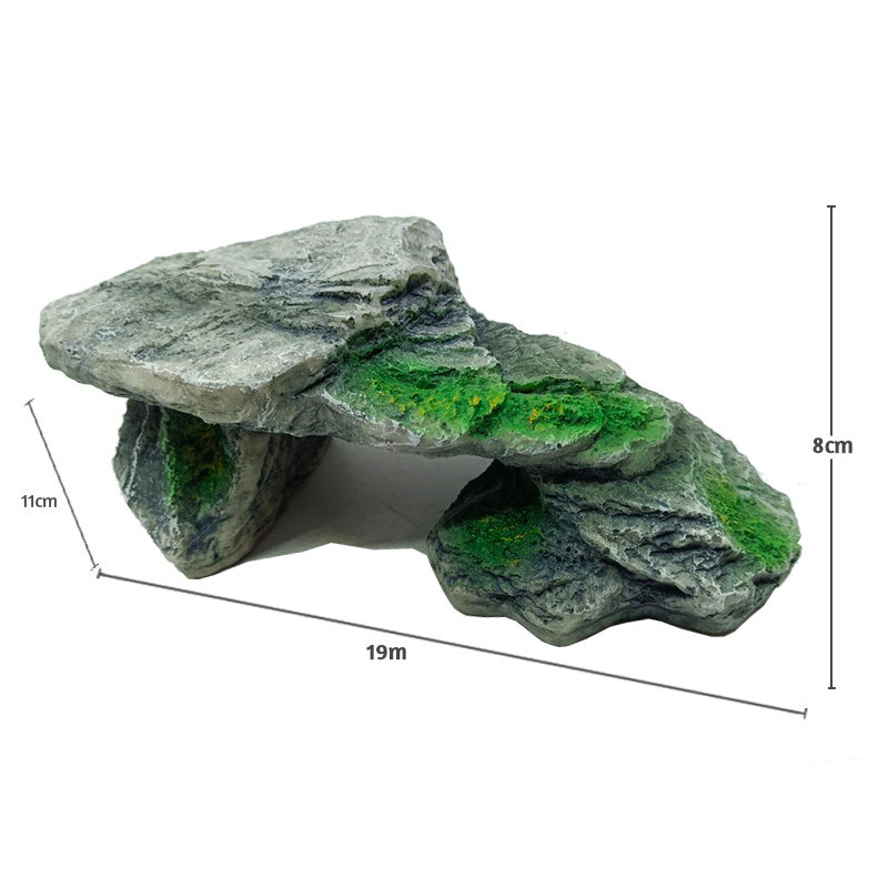 Bruņurupucis Bruņurupucis Rāpulis Ķirzaka Čūska Paslēptuve Ala Slēpta Māja Telpas sveķu terārija dekors