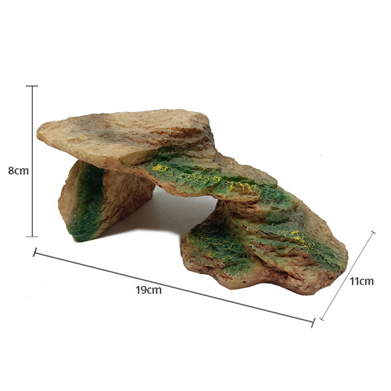Bruņurupucis Bruņurupucis Rāpulis Ķirzaka Čūska Paslēptuve Ala Slēpta Māja Telpas sveķu terārija dekors