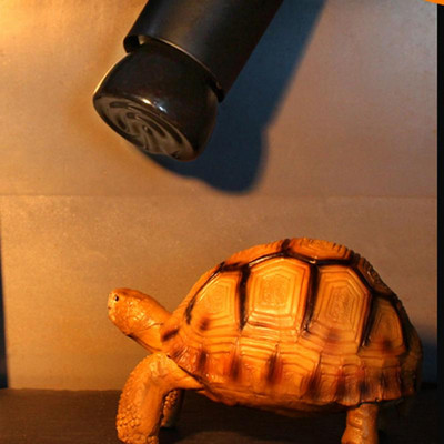 25W 50W 75W 100W E27 Отоплителна лампа за домашни любимци Черен керамичен излъчвател Топлинна крушка Pet Brooder Пилета Лампа за влечуги 110120V