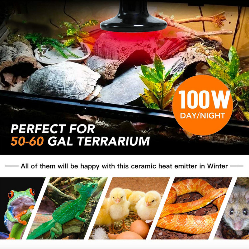 100 w mājdzīvnieku apsildes gaismas keramikas infrasarkanā apsildes lampa, sprādziendroša 220 V–240 V amfībijas rāpuļu mājdzīvnieku apkures lampas sildītājs