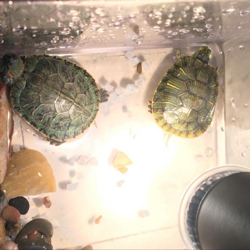 25/50/75 W rāpuļu apsildes lampa, regulējama UVB bruņurupuča saules apdeguma gaismas pilna spektra saules lampas siltais siltums saglabājošs apgaismojums