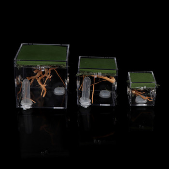 1 τμχ Black Widow Spider Small Insect Terrarium Διάφανο κουτί αναπαραγωγής ερπετών Συγκρότημα κουτί αναπαραγωγής εντόμων Προμήθειες προϊόντων κατοικίδιων ζώων
