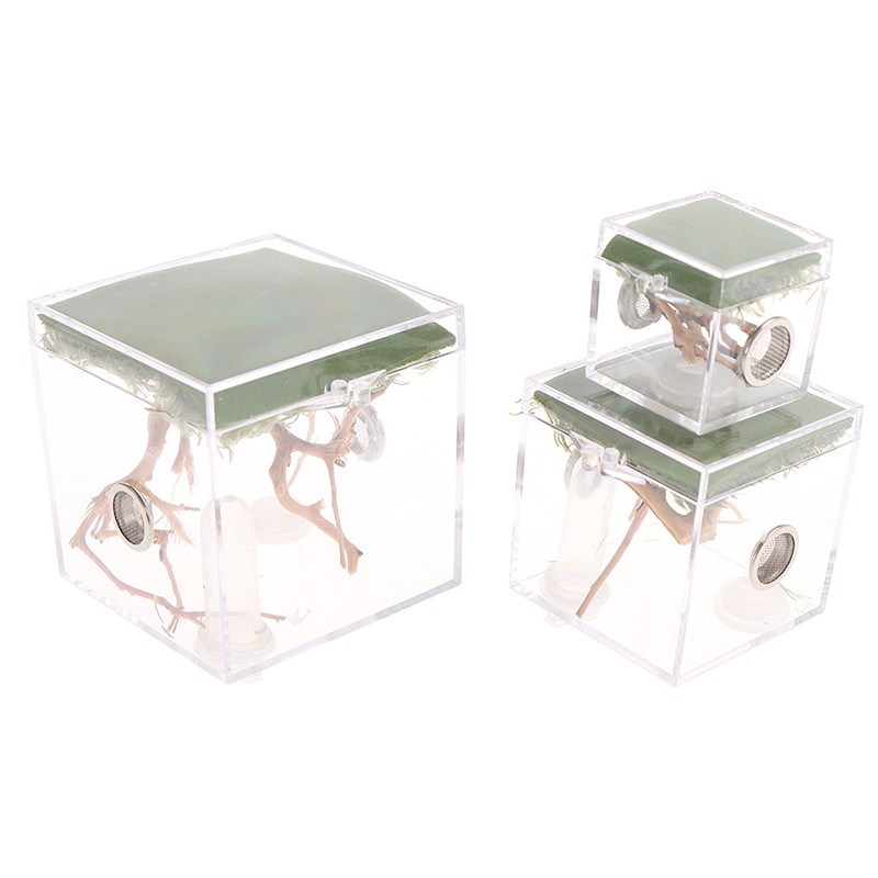 1 τμχ Black Widow Spider Small Insect Terrarium Διάφανο κουτί αναπαραγωγής ερπετών Συγκρότημα κουτί αναπαραγωγής εντόμων Προμήθειες προϊόντων κατοικίδιων ζώων