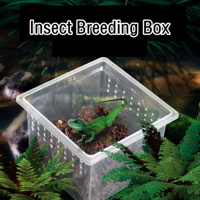 10db kis műanyag hüllő etető doboz terrárium hüllő utazó élőhely doboz a Gecko Frog Spider Snake Lizard Terrarium számára
