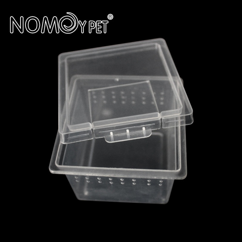 10 tk Väike plastikust roomajate söödakast terraariumi roomajate reisikast geko konna ämblikmao sisaliku terraariumi jaoks