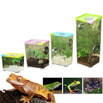 Terrarium Tank Transparent Reptile Breeding Box Clear Acrylic Reptile Terrarium Feeding Box Spider Scorpion Assembled Eco Box