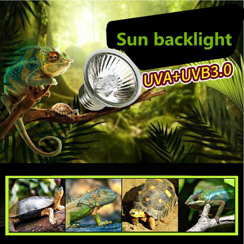 3 TK Uvb Roomajate 75 W Pesituslamp Uva ja Uvb Reptile Turtle Pirn Uvb Roomajate kinnitus