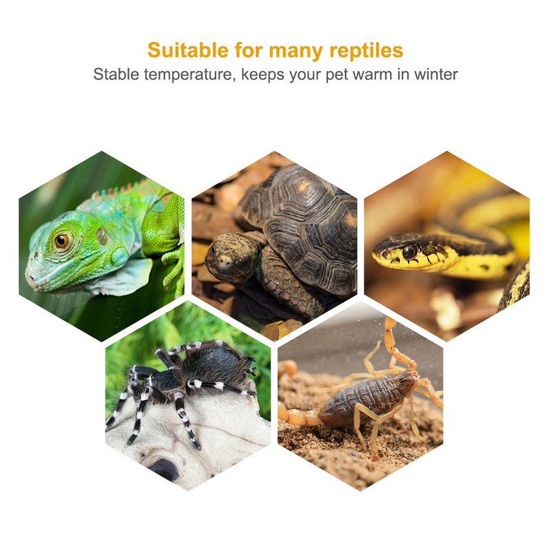 3 TK Uvb Roomajate 75 W Pesituslamp Uva ja Uvb Reptile Turtle Pirn Uvb Roomajate kinnitus