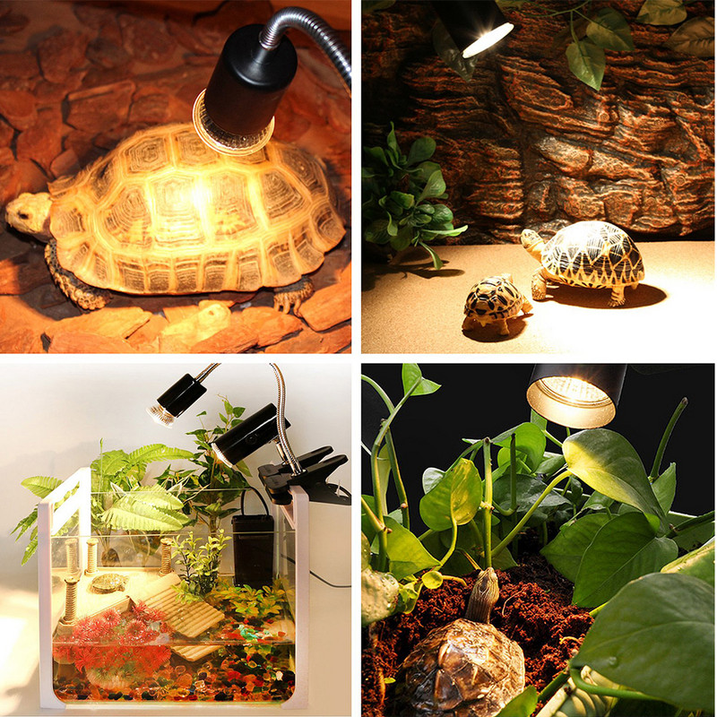 3 TK Uvb Roomajate 75 W Pesituslamp Uva ja Uvb Reptile Turtle Pirn Uvb Roomajate kinnitus