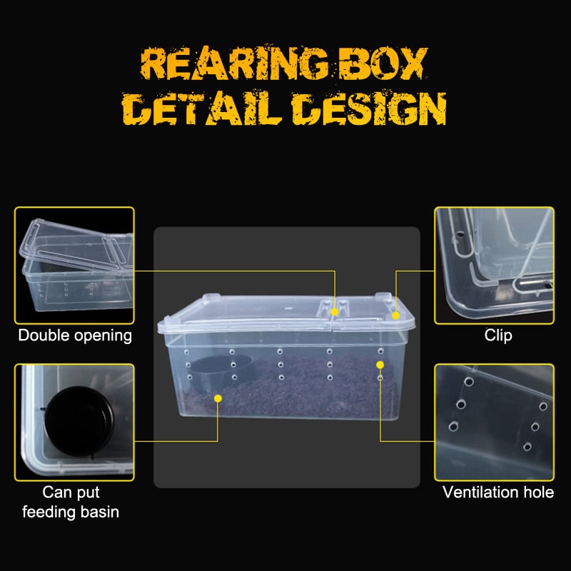 19cmx12.5cmx7.5cm Terariu pentru reptile Păianjen Cutie de hrănire din plastic transparent Container de hrănire pentru insecte