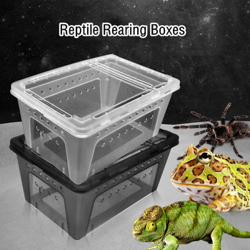 Кутия за хранене на влечуги Малък контейнер за размножаване на змии Прозрачна кутия за инкубация за люпене Мини къща за домашни любимци за гущер Тарантула Паяк