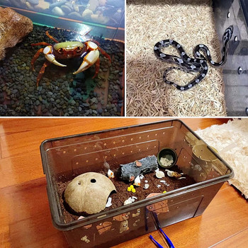 Κουτί τροφοδοσίας ερπετών Μικρό δοχείο αναπαραγωγής φιδιών Διαφανές κουτί επώασης εκκόλαψης Mini Pet House for Lizard Tarantula Spide