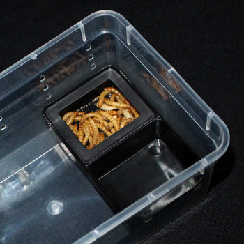 1 τεμ. Ερπετοδεξαμενή Εντόμων Μυρμήγκια αράχνη Φωλιά Φίδι Γκέκο Τροφή Νερό Μπολ Τεράριουμ Εκτροφής Κουτί Προμήθειες για κατοικίδια