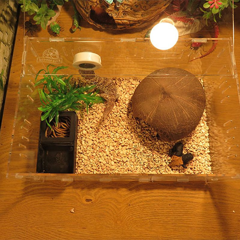 1 τεμ. Ερπετοδεξαμενή Εντόμων Μυρμήγκια αράχνη Φωλιά Φίδι Γκέκο Τροφή Νερό Μπολ Τεράριουμ Εκτροφής Κουτί Προμήθειες για κατοικίδια