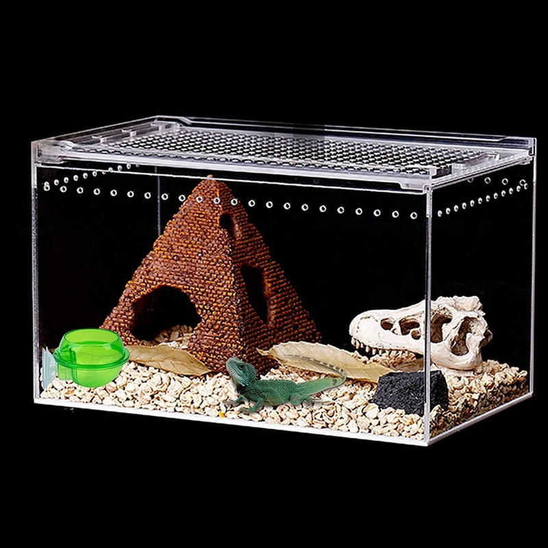 Τροφοδότης ερπετών Chameleon Feeding Food Bowl Water Πιάτο βεντούζας για Gecko Lizard Bearded Ledge Supplies Αξεσουάρ για κατοικίδια