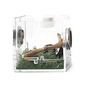 Cutie transparentă pentru hrănire pentru insecte - Habitat acrilic transparent pentru reptile, cu design anti-escape și găuri metalice pentru respirație, carcasă pentru terariu F