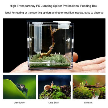 Прозрачна кутия за хранене на насекоми - прозрачна акрилна среда за влечуги с дизайн против бягство и метални дихателни отвори Калъф за терариум F