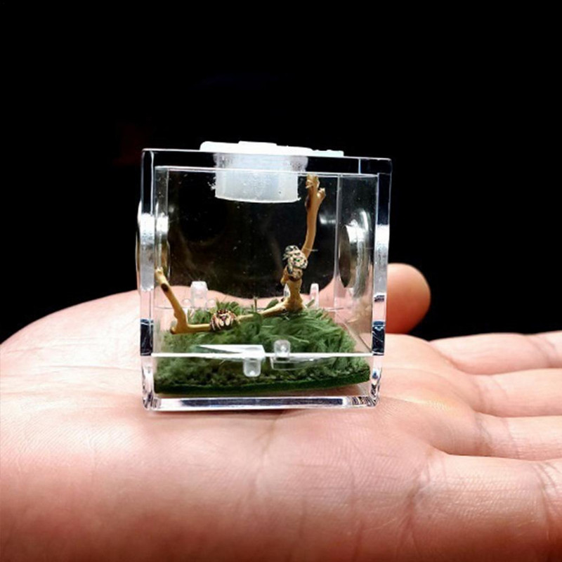 Cutie transparentă pentru hrănire pentru insecte - Habitat acrilic transparent pentru reptile, cu design anti-escape și găuri metalice pentru respirație, carcasă pentru terariu F