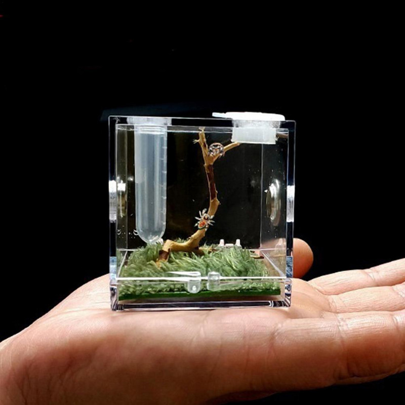 Cutie transparentă pentru hrănire pentru insecte - Habitat acrilic transparent pentru reptile, cu design anti-escape și găuri metalice pentru respirație, carcasă pentru terariu F