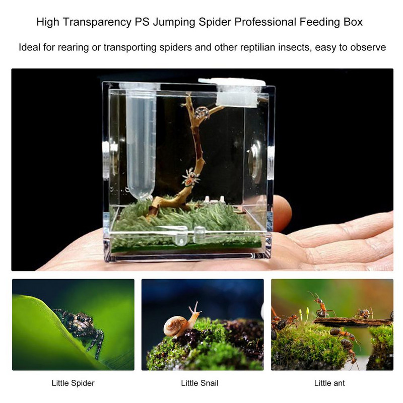 Cutie transparentă pentru hrănire pentru insecte - Habitat acrilic transparent pentru reptile, cu design anti-escape și găuri metalice pentru respirație, carcasă pentru terariu F